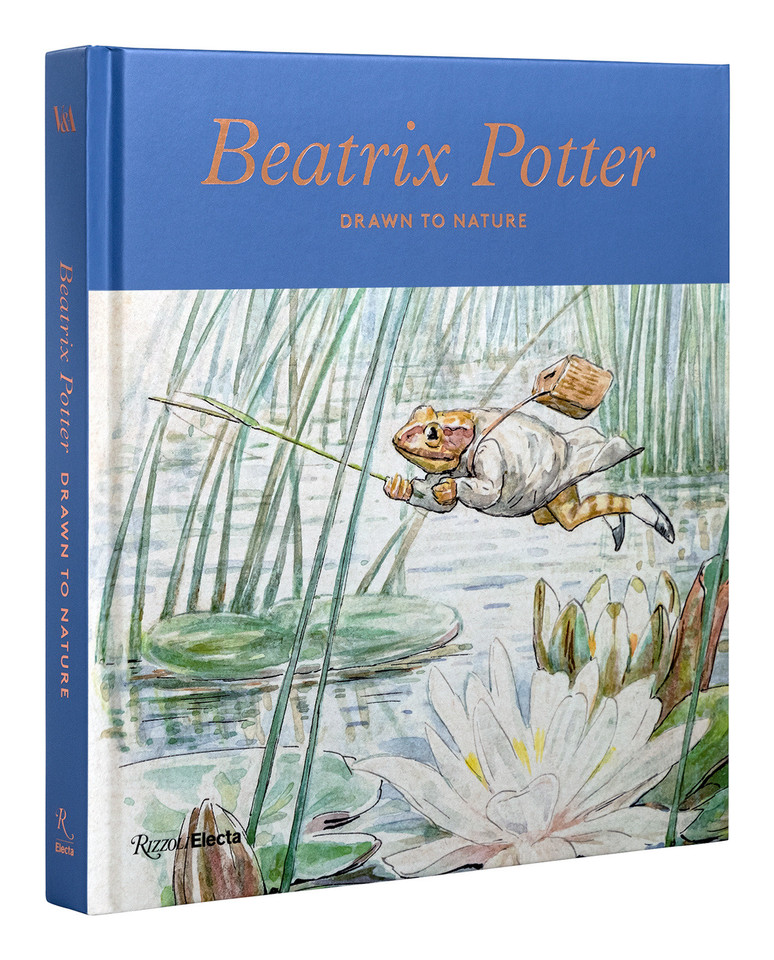 Beatrix Potter: Drawn to Nature book cover by Annemarie Bilclough
