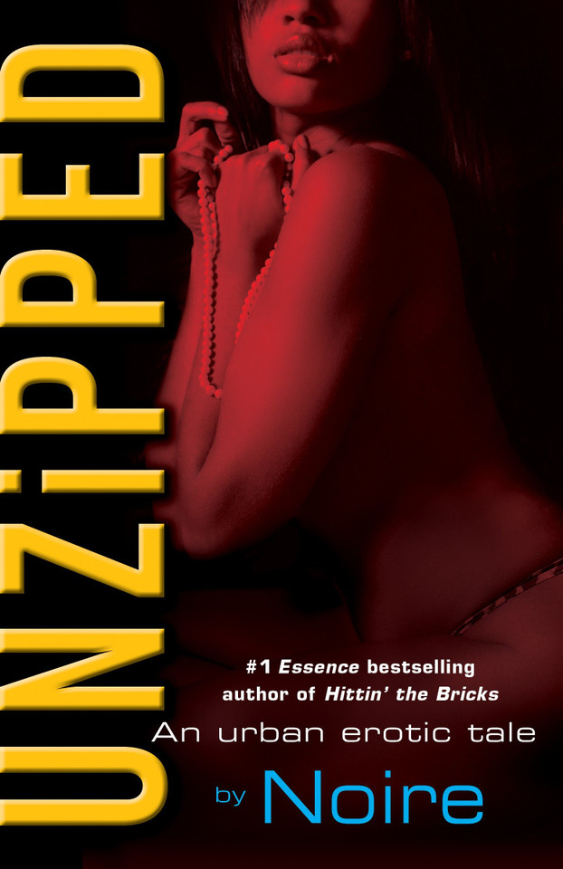 Unzipped: An Urban Erotic Tale book cover by Noire