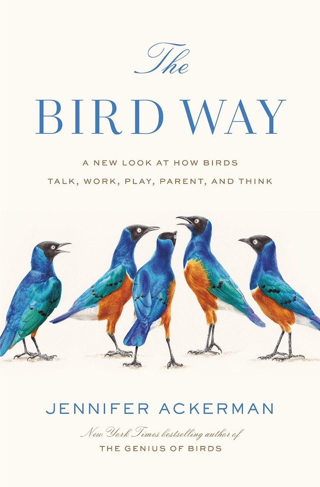 The Bird Way: A New Look at How Birds Talk, Work, Play, Parent, and Think Cover