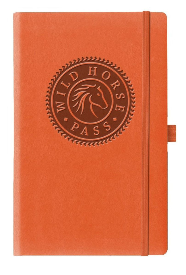 Mid Size Tucson Journal