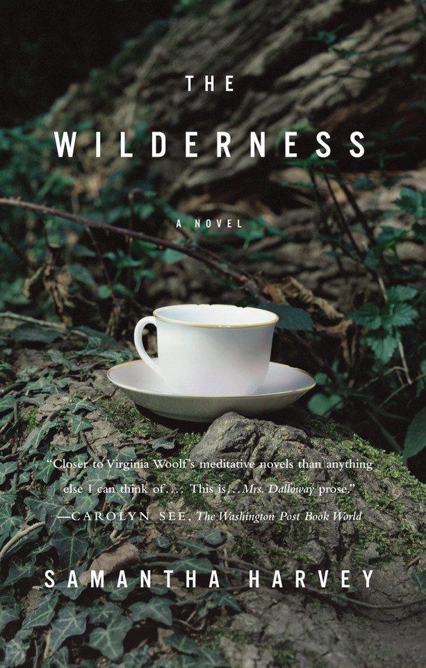 The Wilderness: A Novel book cover by Samantha Harvey