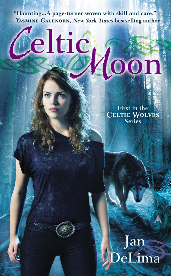 Celtic Moon (A Celtic Wolves Novel) book cover by Jan DeLima
