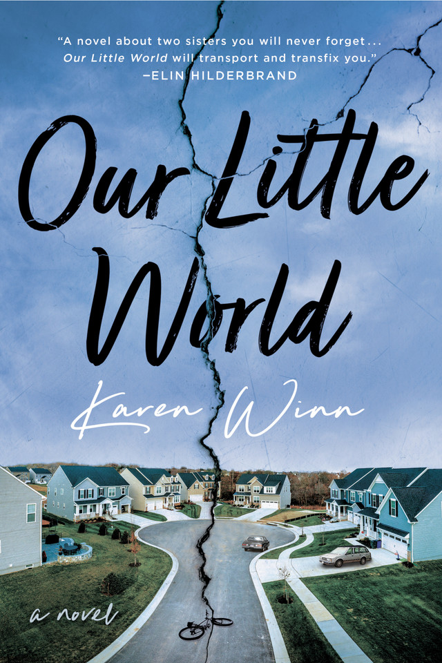 Our Little World: A Novel book cover by Karen Winn