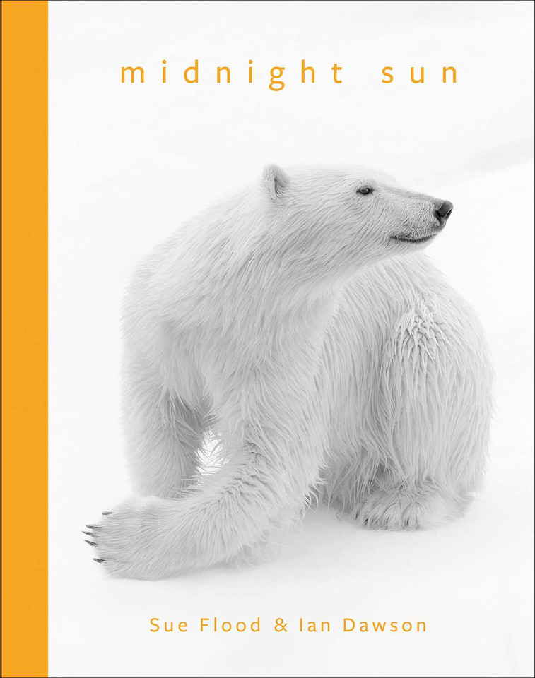 Midnight Sun book cover by Sue Flood, Ian Dawson