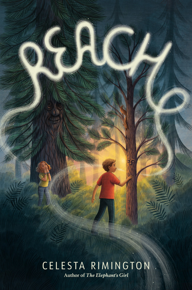 Reach book cover by Celesta Rimington