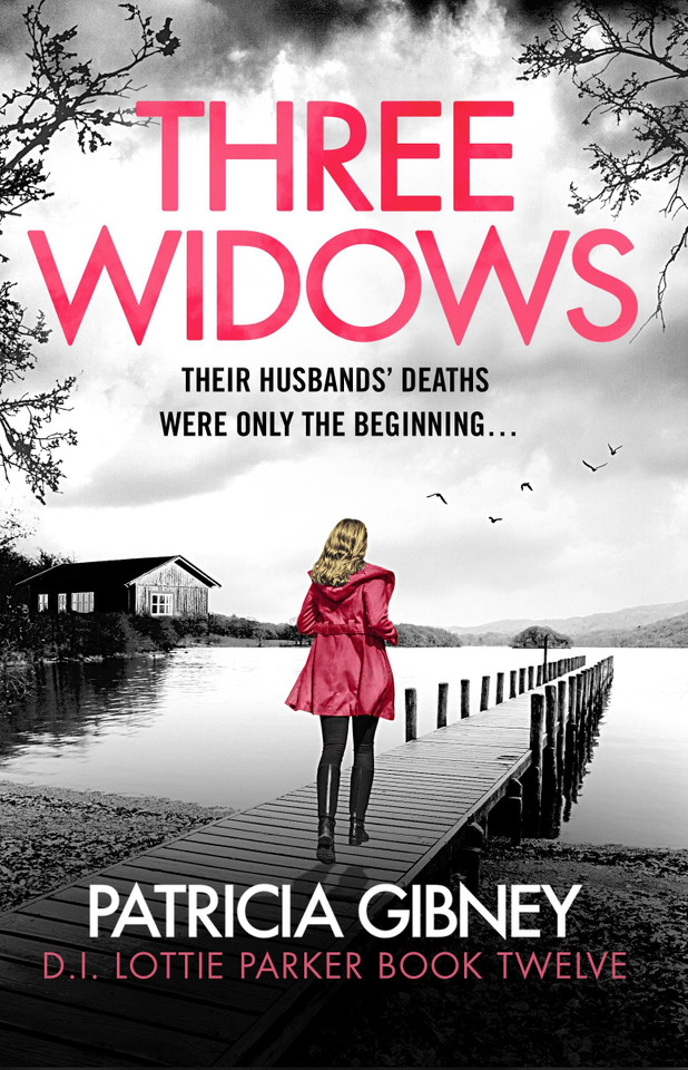 Three Widows: An unputdownable crime thriller with a jaw-dropping twist book cover by Patricia Gibney