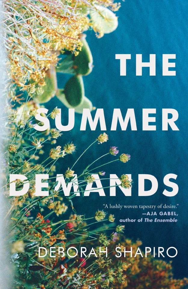The Summer Demands book cover by Deborah Shapiro