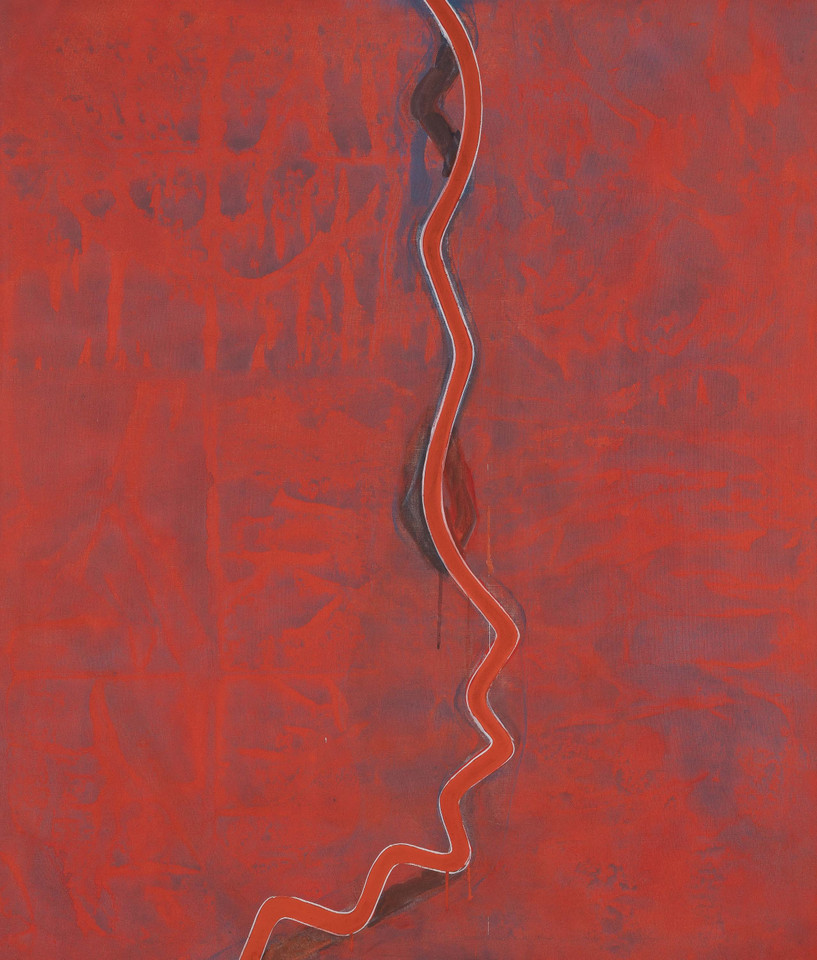 Donald Judd: Paintings book cover by Alex Gartenfeld, Flavin Judd, Kirsten Swenson, Alex Kitnick