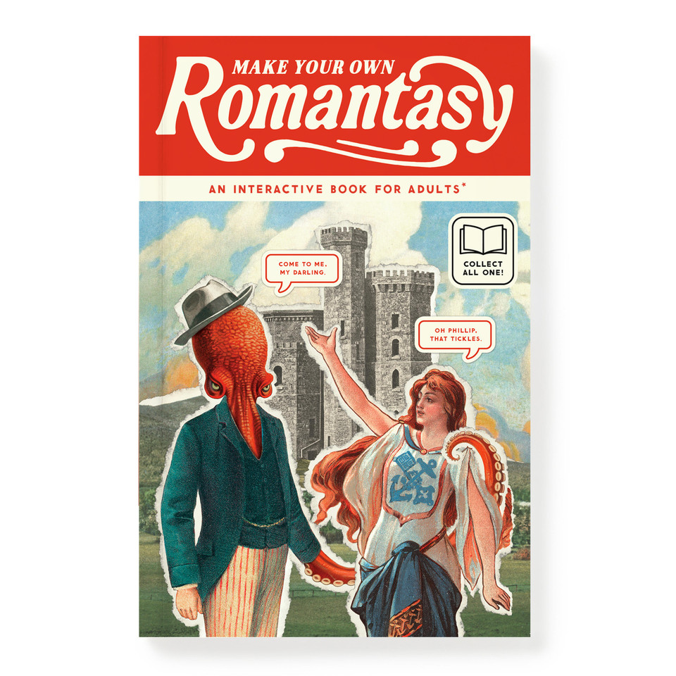 Make Your Own Romantasy book cover by Brass Brass Monkey