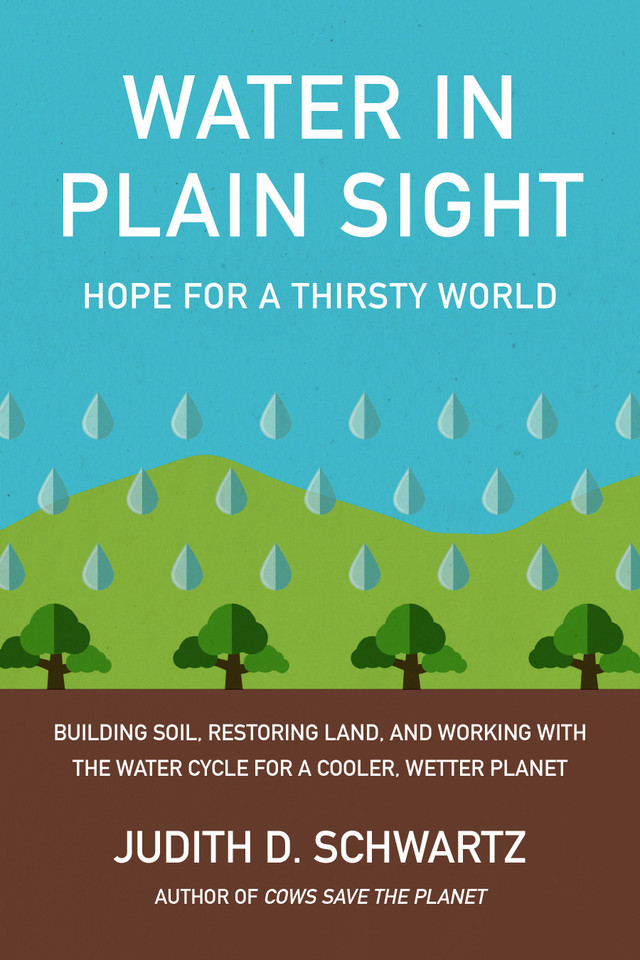 Water in Plain Sight: Hope for a Thirsty World book cover by Judith D. Schwartz