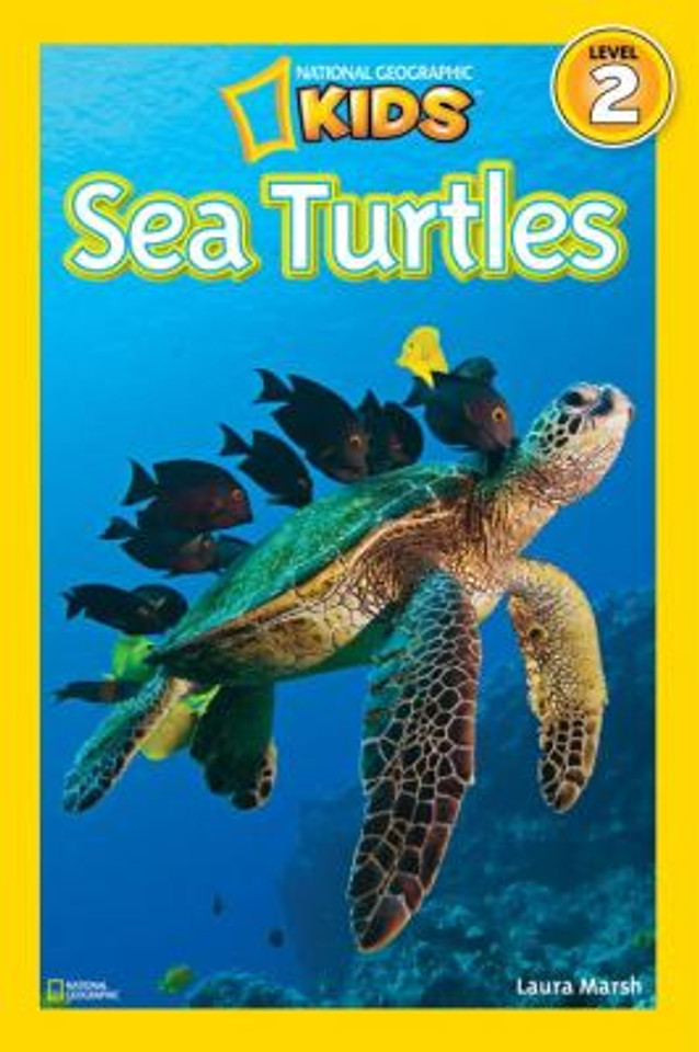National Geographic Readers: Sea Turtles Cover National Geographic Readers: Sea Turtles Cover