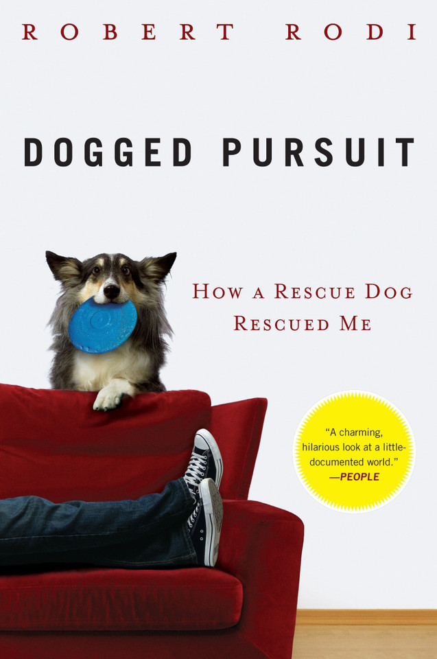 Dogged Pursuit: How a Rescue Dog Rescued Me book cover by Robert Rodi