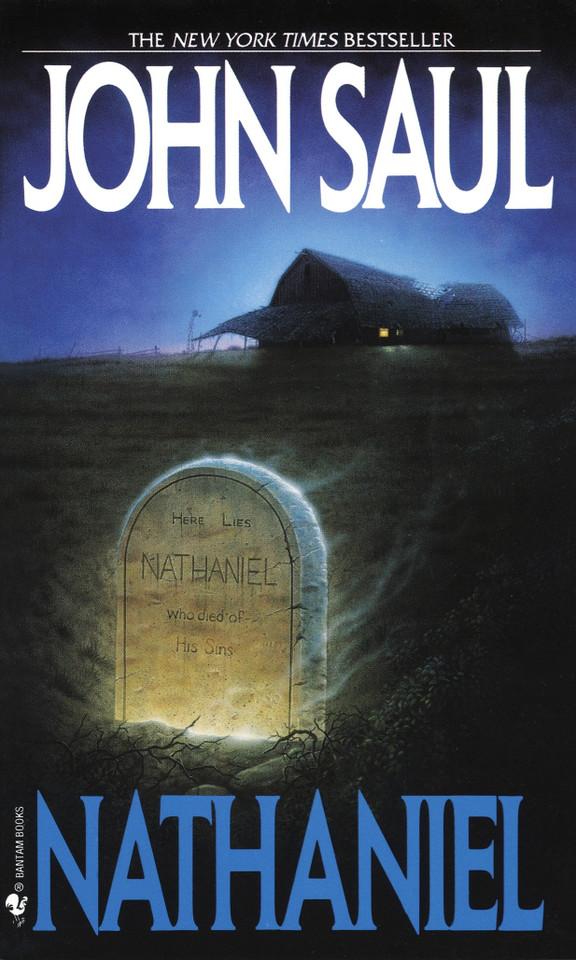 Nathaniel: A Novel book cover by John Saul