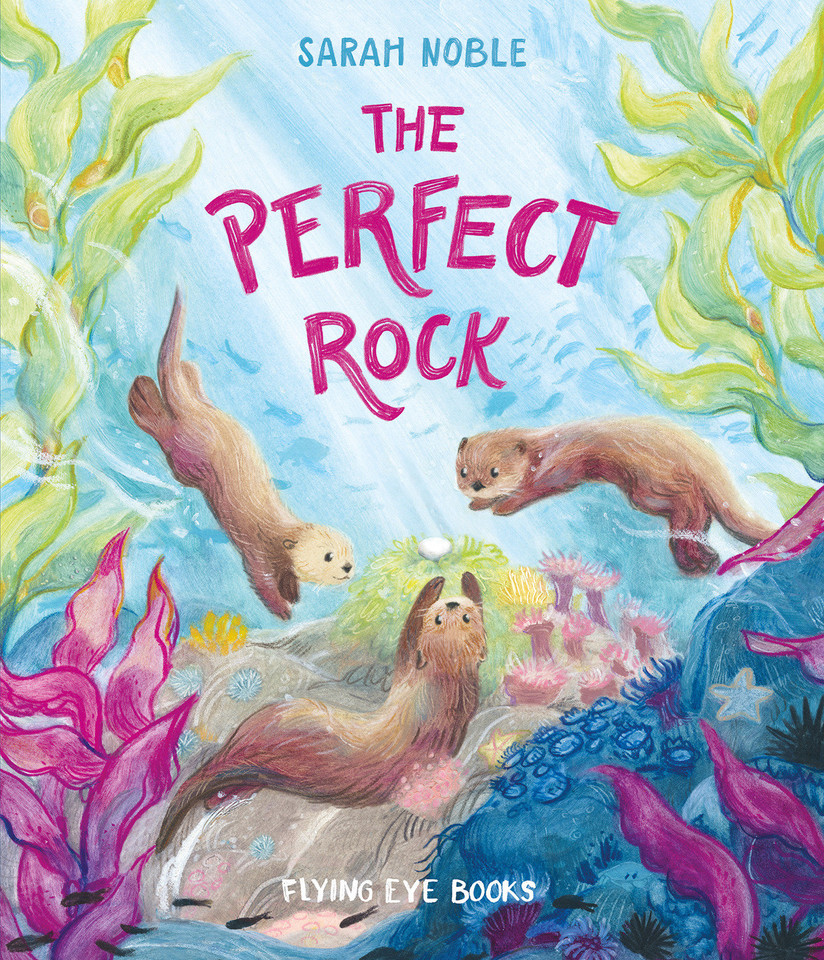 The Perfect Rock book cover by Sarah Noble