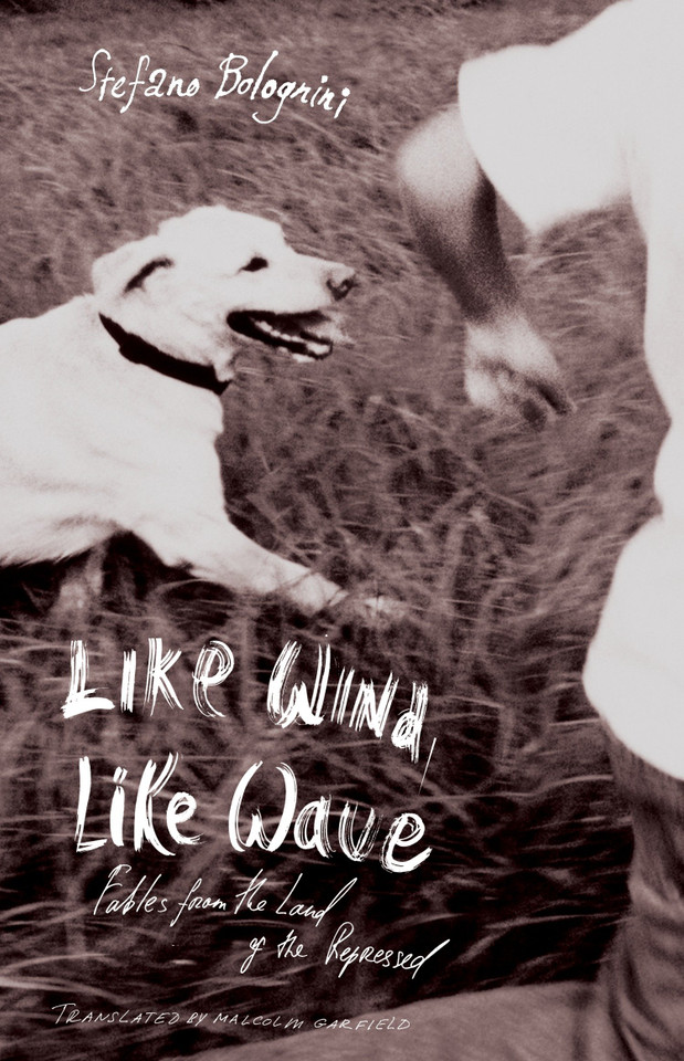 Like Wind, Like Wave book cover by Stefano Bolognini