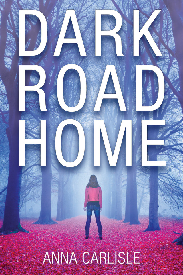 Dark Road Home: A Gin Sullivan Mystery (A Gin Sullivan Mystery) book cover by Anna Carlisle