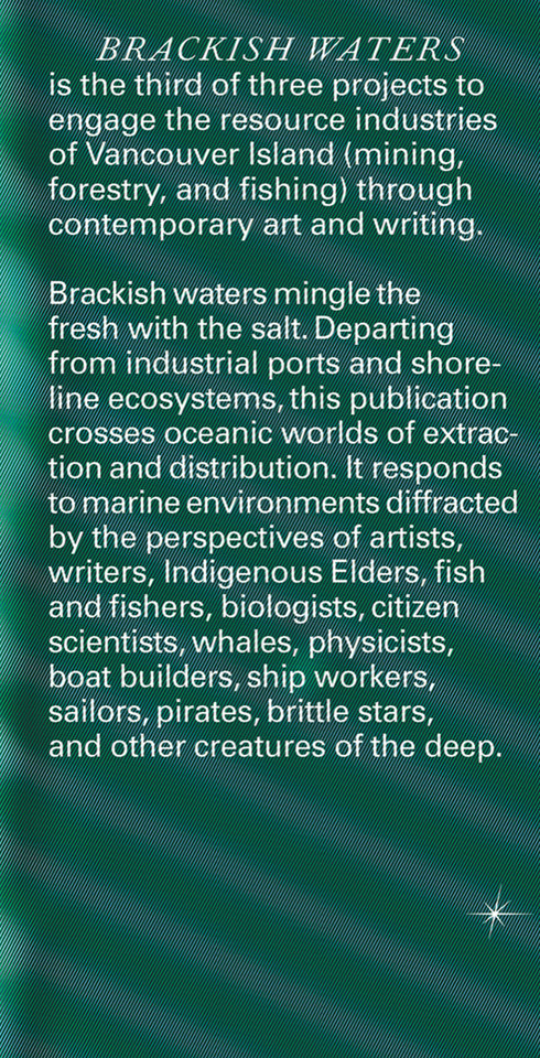 Brackish Waters book cover by 