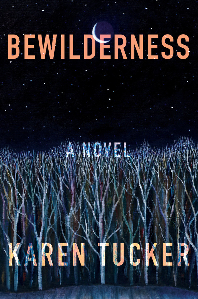 Bewilderness book cover by Karen Tucker