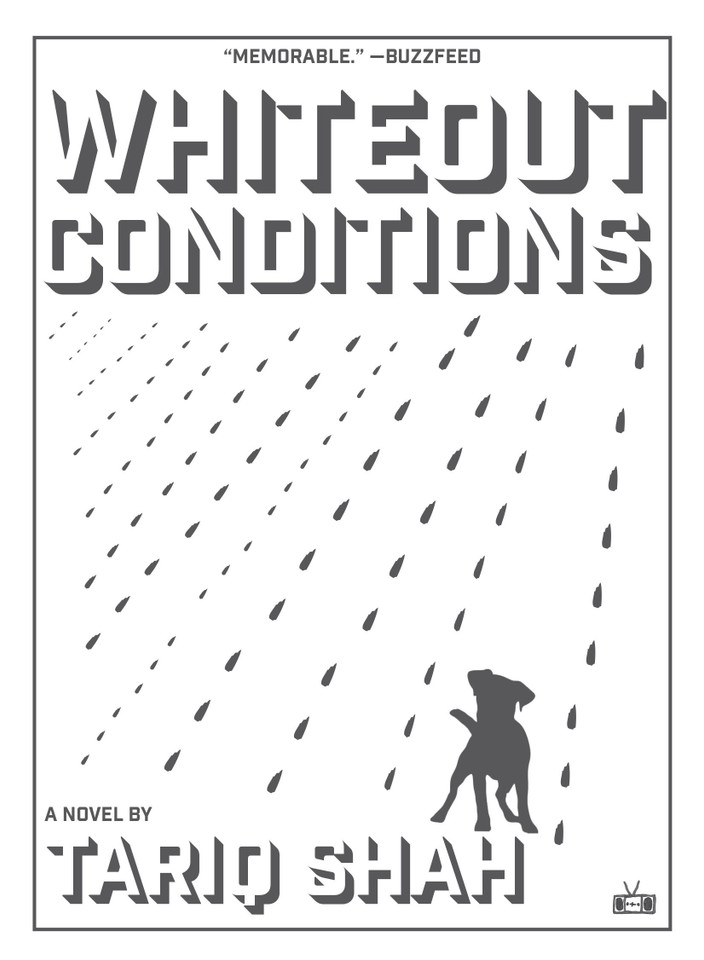 Whiteout Conditions book cover by Tariq Shah
