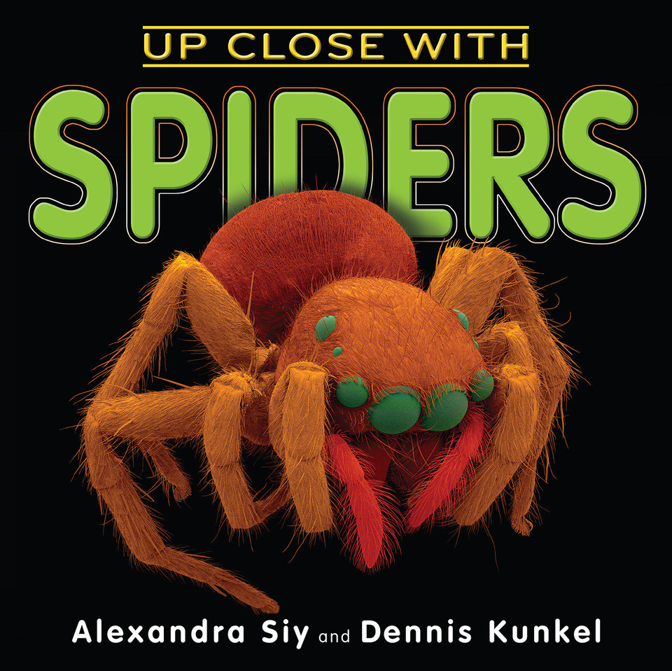 Up Close With Spiders book cover by Alexandra Siy