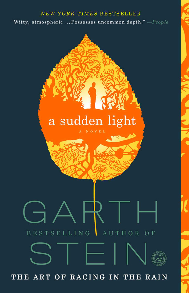 A Sudden Light: A Novel book cover by Garth Stein