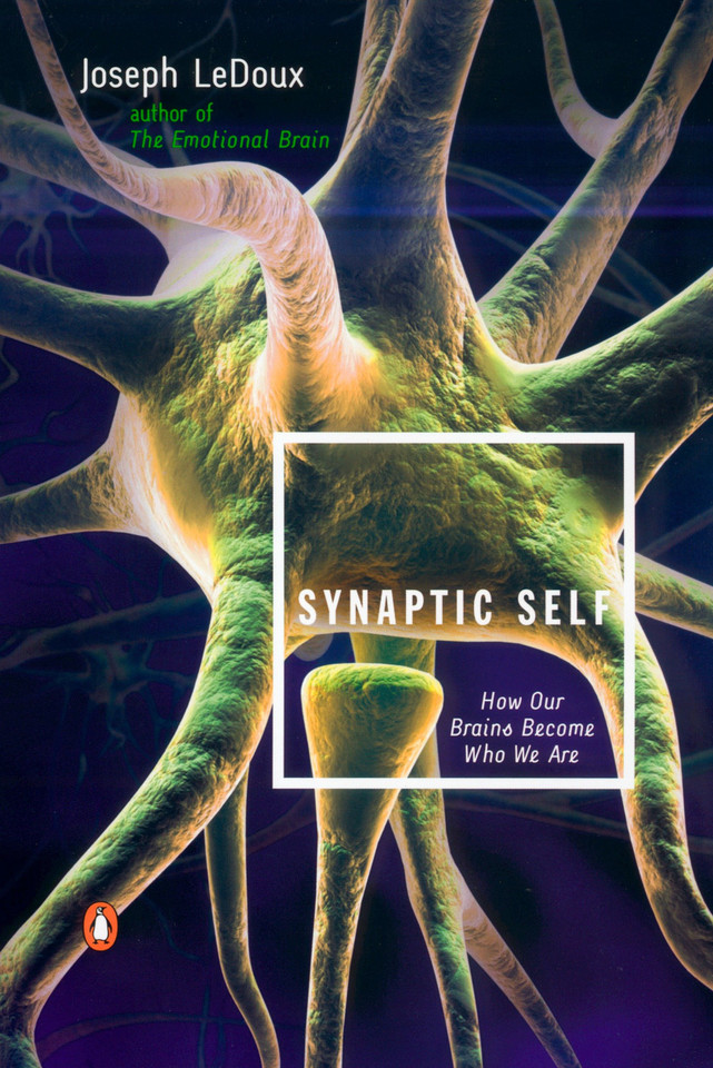 Synaptic Self: How Our Brains Become Who We Are book cover by Joseph LeDoux