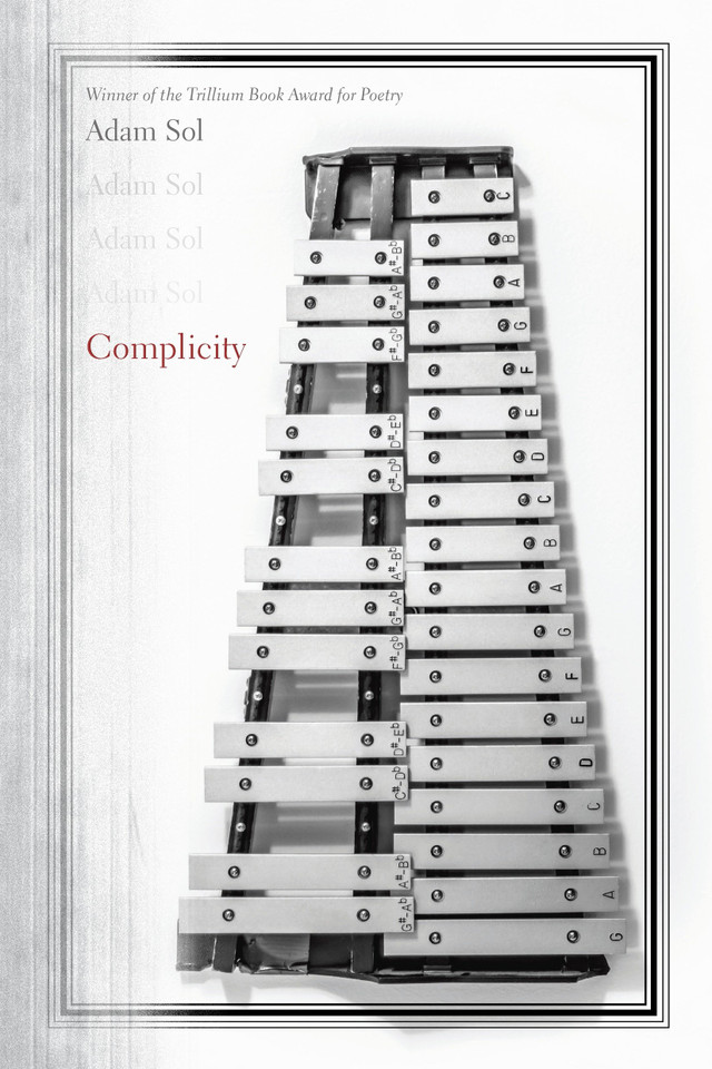 Complicity book cover by Adam Sol