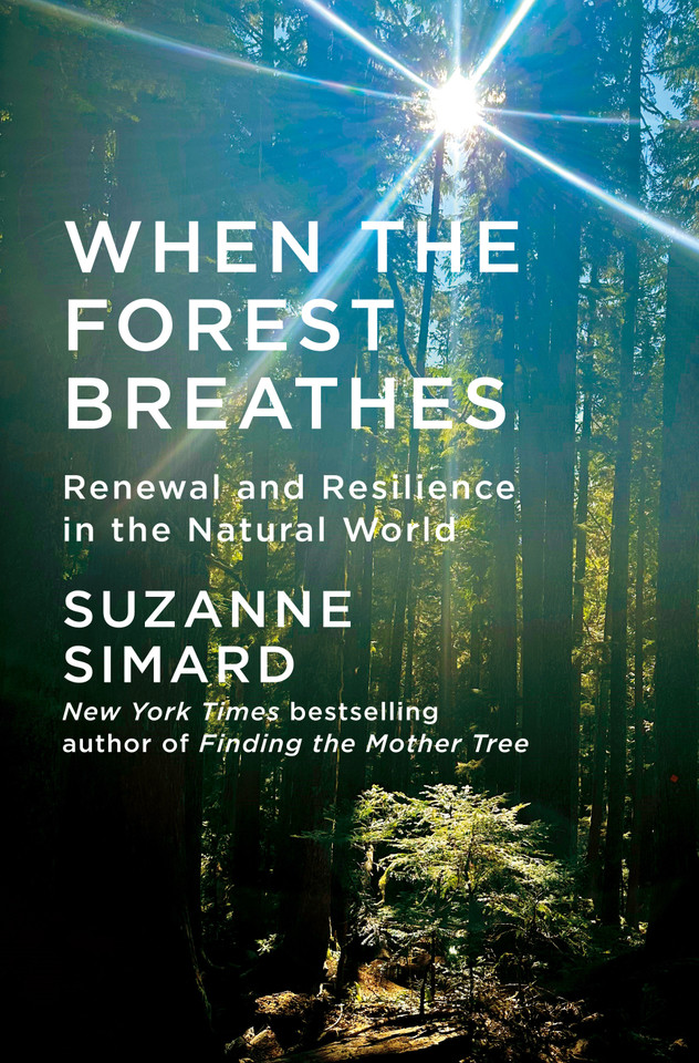 When the Forest Breathes: Renewal and Resilience in the Natural World book cover by Suzanne Simard