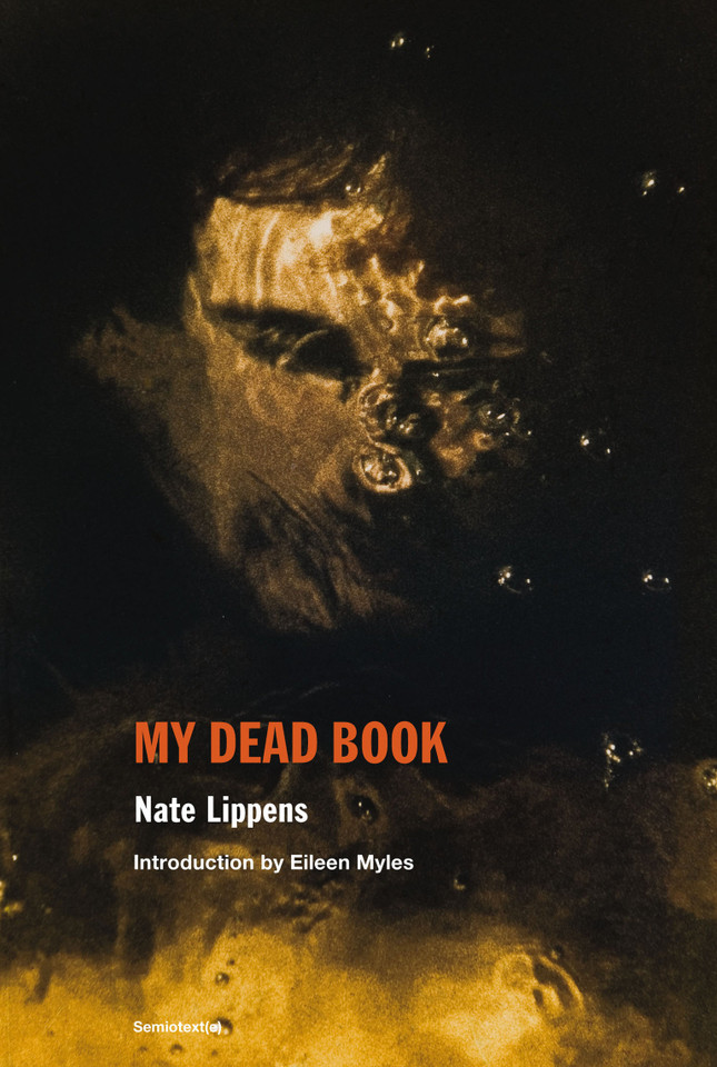 My Dead Book book cover by Nate Lippens