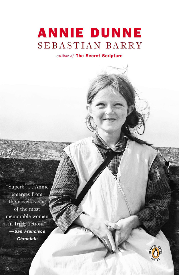 Annie Dunne book cover by Sebastian Barry