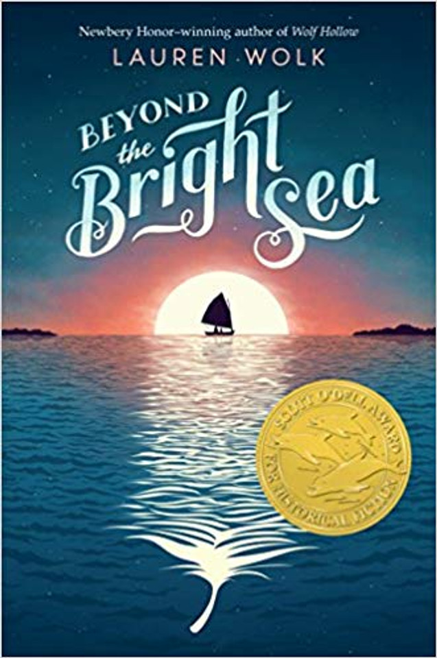 Beyond the Bright Sea Cover
