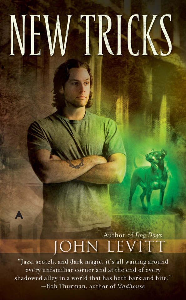 New Tricks (A Dog Days Novel) book cover by John Levitt