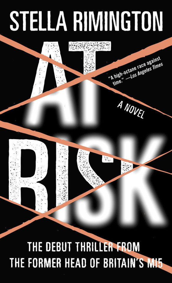 At Risk: A Novel (Agent Liz Carlyle Series) book cover by Stella Rimington