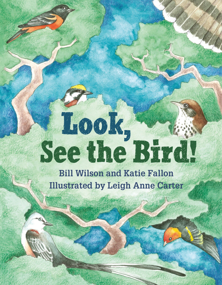 Look, See the Bird! book cover by Bill Wilson, Katie Fallon