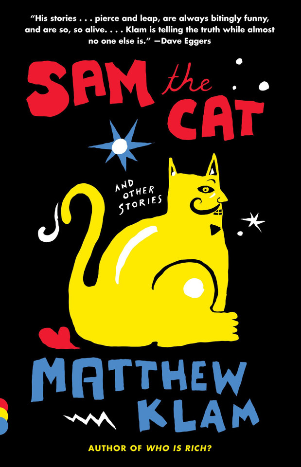 Sam the Cat: and Other Stories (Vintage Contemporaries) book cover by Matthew Klam