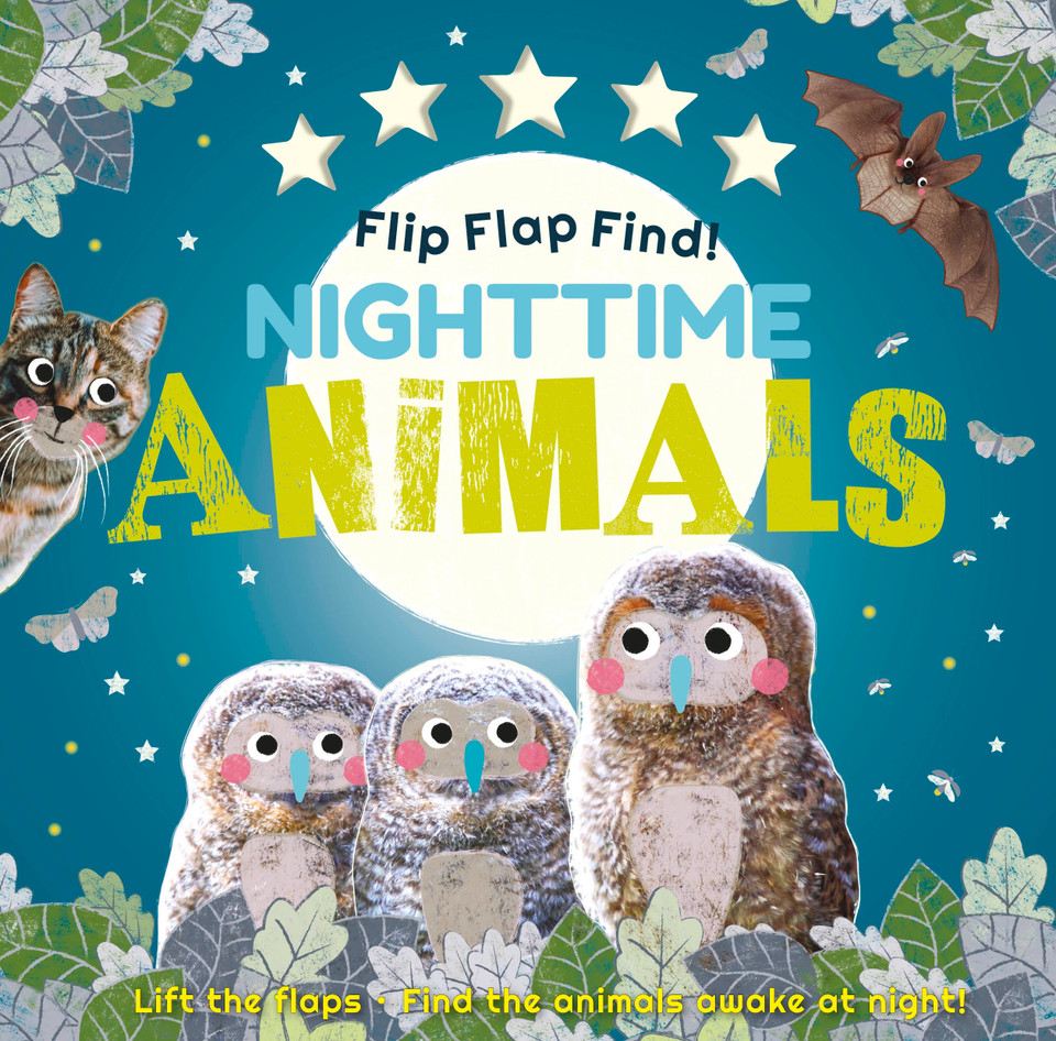 Flip Flap Find! Night-time Animals: Lift the flaps. Find the animals awake at night! (Flip Flap Find) book cover by DK