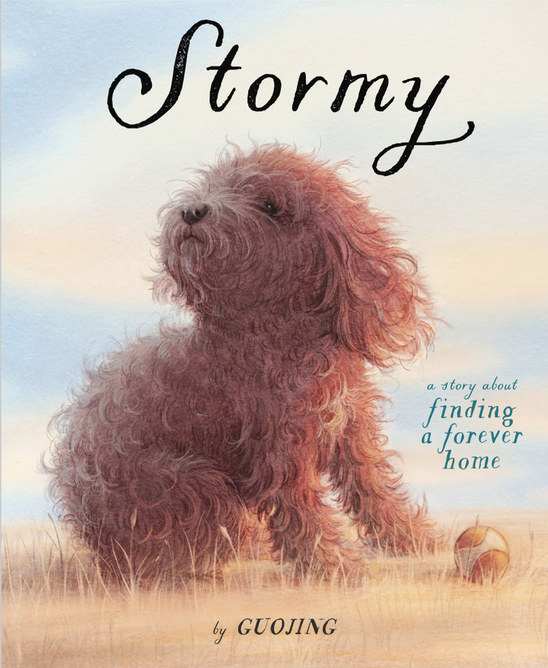 Stormy: A Story About Finding a Forever Home book cover by Guojing
