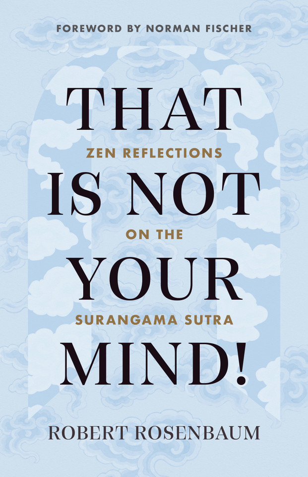 That Is Not Your Mind!: Zen Reflections on the Surangama Sutra book cover by Robert Rosenbaum