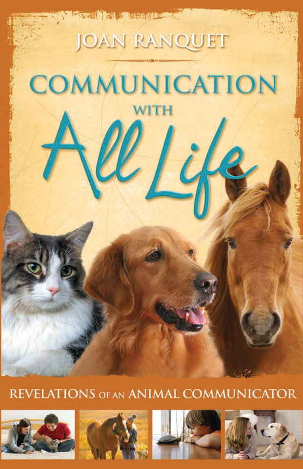 Communication With All Life: Revelations of An Animal Communicator book cover by Joan Ranquet