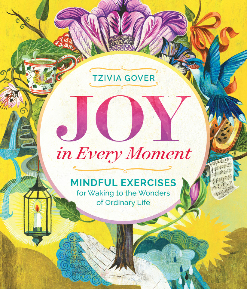 Joy in Every Moment: Mindful Exercises for Waking to the Wonders of Ordinary Life book cover by Tzivia Gover