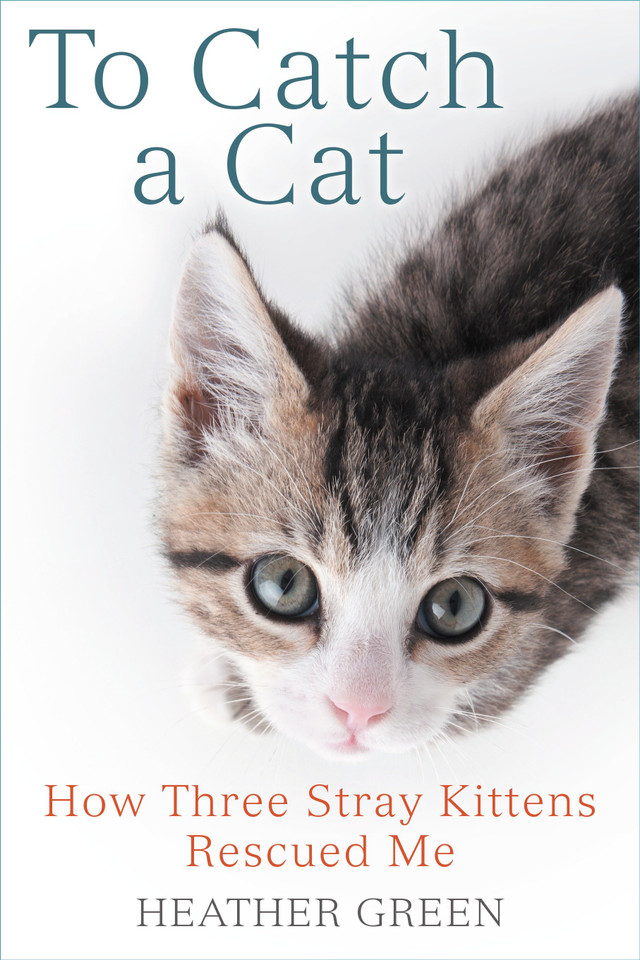 To Catch a Cat: How Three Stray Kittens Rescued Me book cover by Heather Green