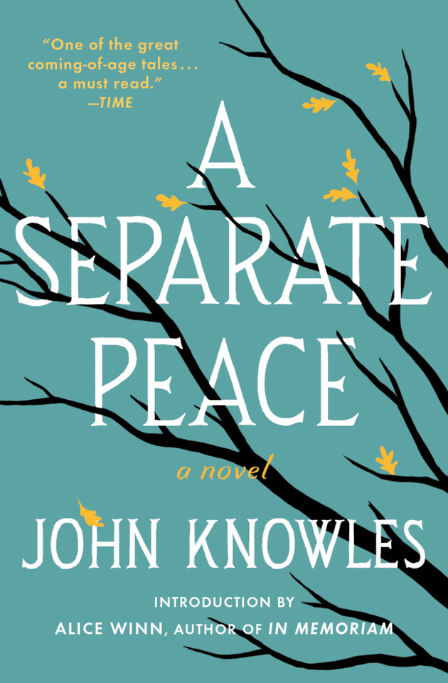 A Separate Peace book cover by John Knowles