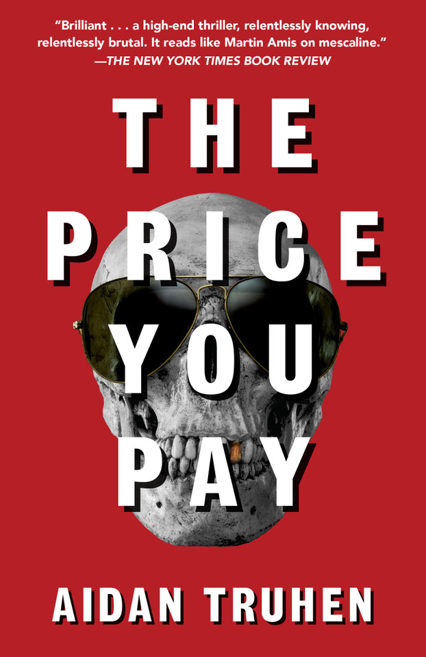 The Price You Pay: A novel book cover by Aidan Truhen