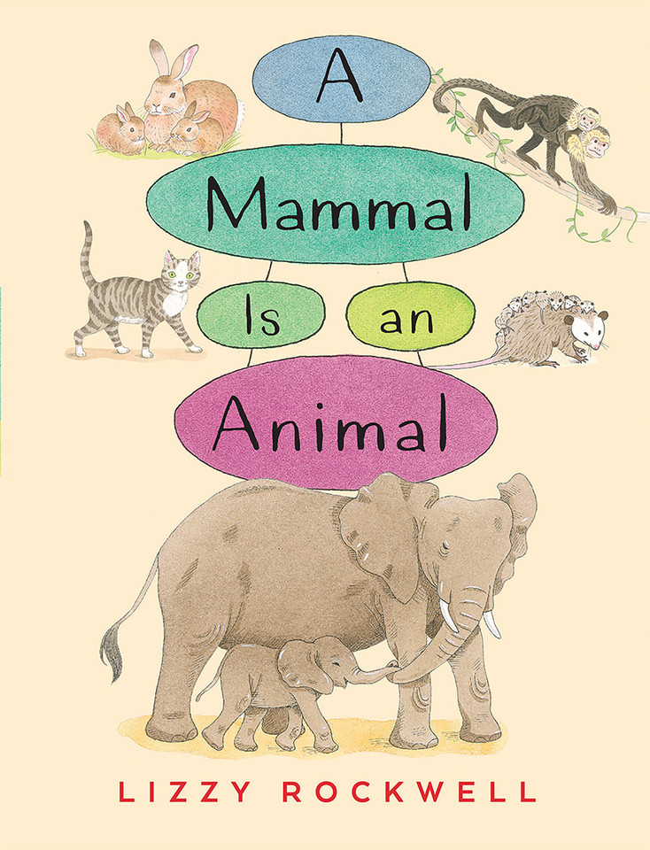 A Mammal is an Animal book cover by Lizzy Rockwell