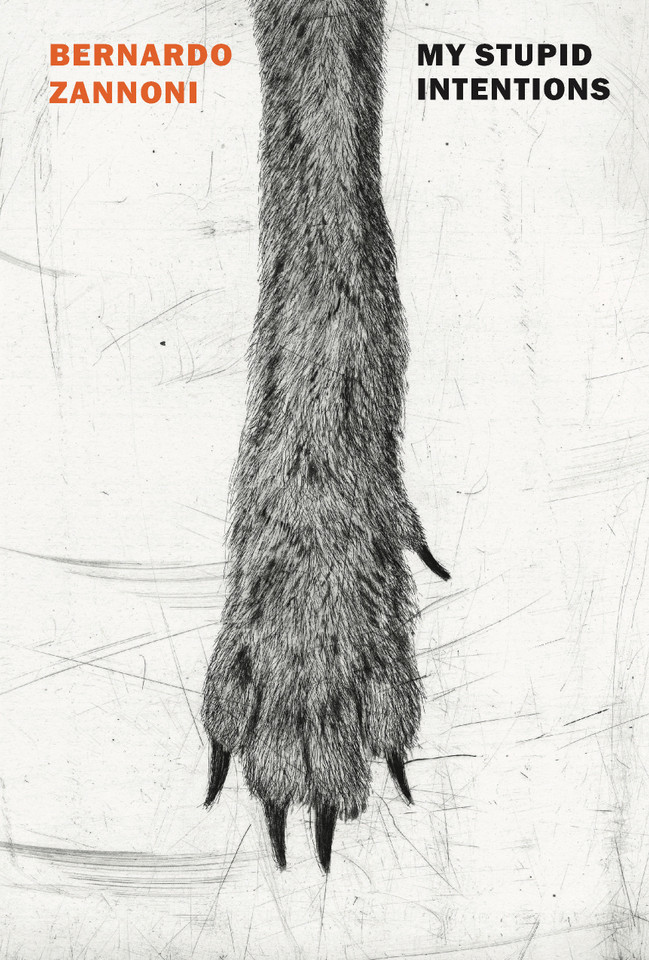 My Stupid Intentions book cover by Bernardo Zannoni