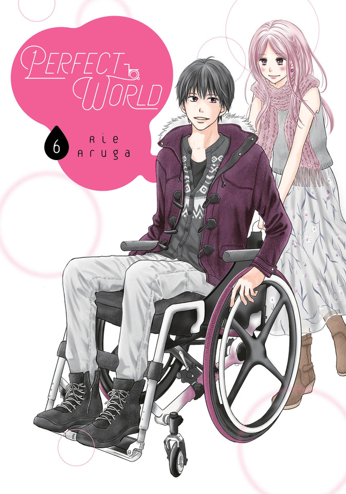 Perfect World 6 (Perfect World) book cover by Rie Aruga