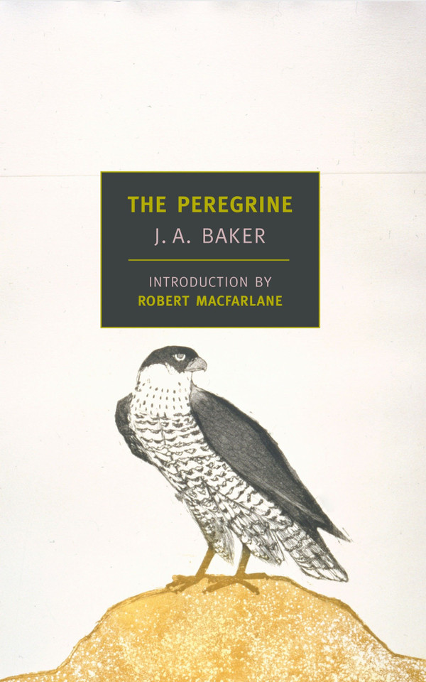 The Peregrine book cover by J. A. Baker