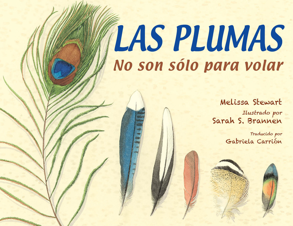 Las plumas (Spanish Edition): No son sólo para volar book cover by Melissa Stewart