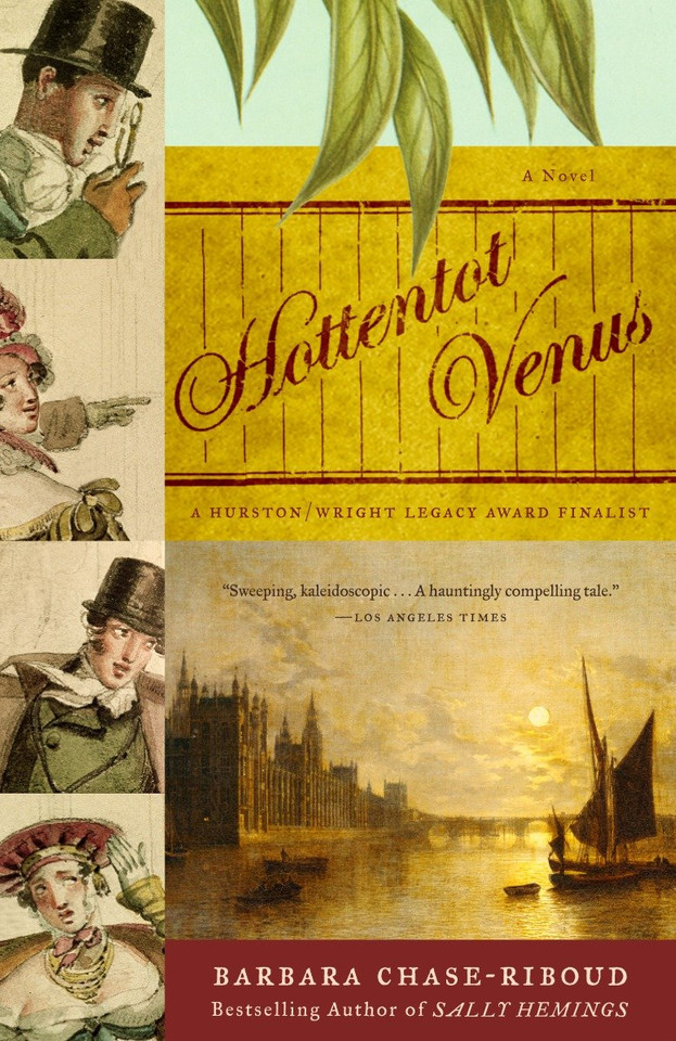 Hottentot Venus: A Novel book cover by Barbara Chase-Riboud