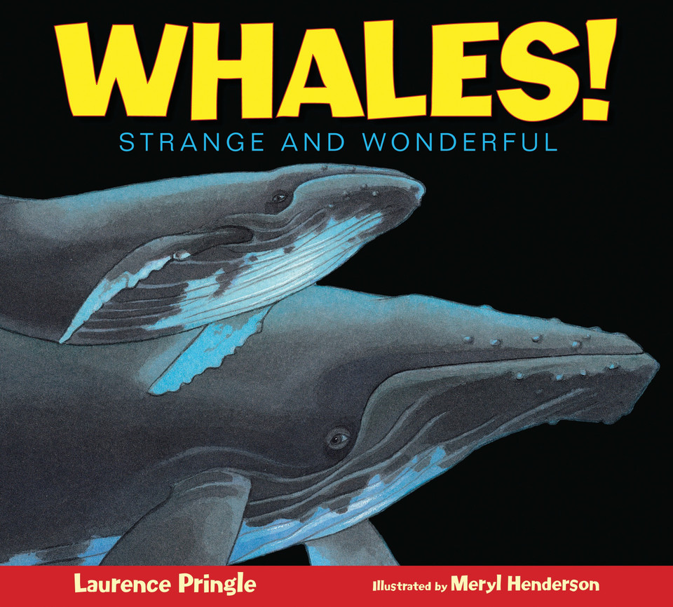 Whales!: Strange and Wonderful (Strange and Wonderful) book cover by Laurence Pringle
